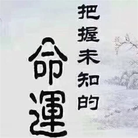 丙子年出生